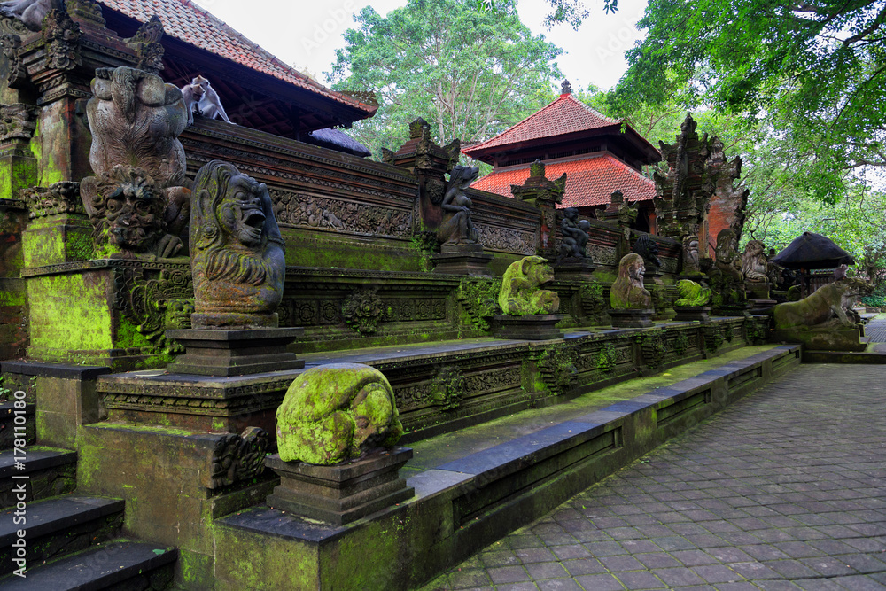 Obraz premium Sacred Monkey Forest Sanctuary in Ubud. Bali Island, Indonesia