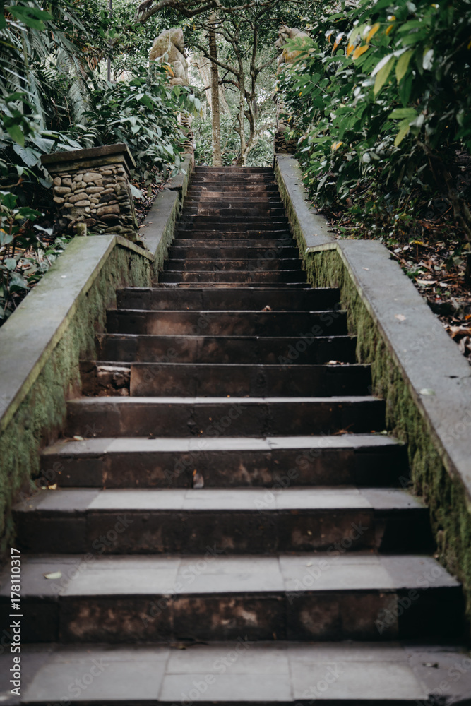 Sacred Monkey Forest Sanctuary in Ubud. Bali Island, Indonesia