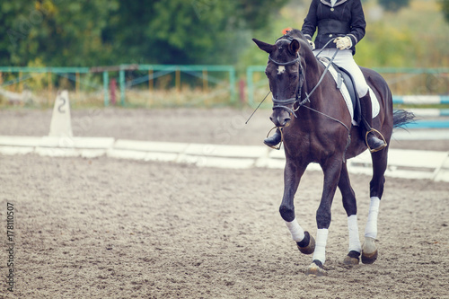 Raven horse with rider girl walking on dressage competition. Image with copy space