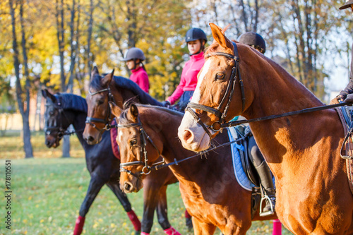 Grupa nastoletnich dziewczyn jedzie konie w jesień parku. Sport jeździecki tło z kopii przestrzenią