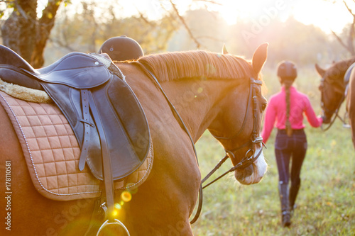 Group of rider girls walking with horses in park. Equestrian recreation activities background with copy space