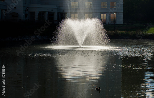 Water Fountain Splash Fresh