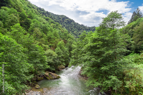 Flowing Firtina River in Rize in Forest © GeniusMinus