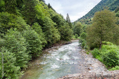 Flowing Firtina River in Rize in Forest