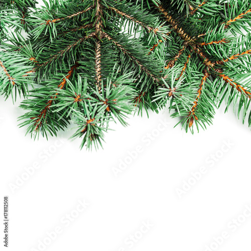 Background with christmas tree branches and space for text for Christmas card, banner, flyer, wallpapers .