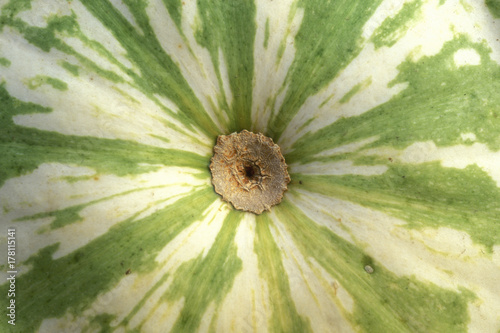 een close-up van een pompoen