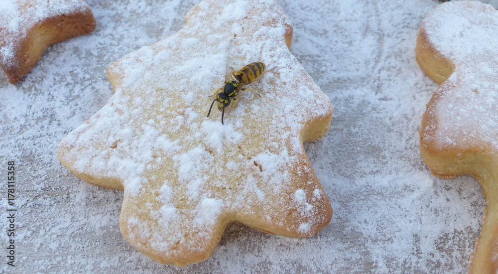 guêpe posée sur un biscuit sucré guêpe posée sur un biscuit sucré
