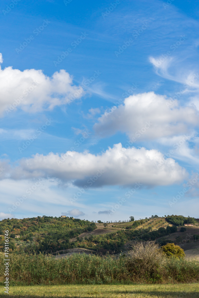 Hills covered by trees and bush with reed in foreground next to Saturnia in Tuscany Hills covered by trees and bush with reed in foreground next to Saturnia in Tuscany