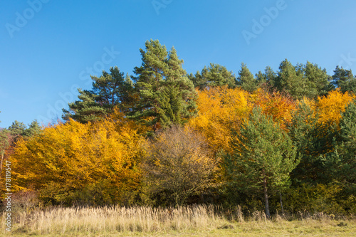 Colorful Slovakian nature in Autumn