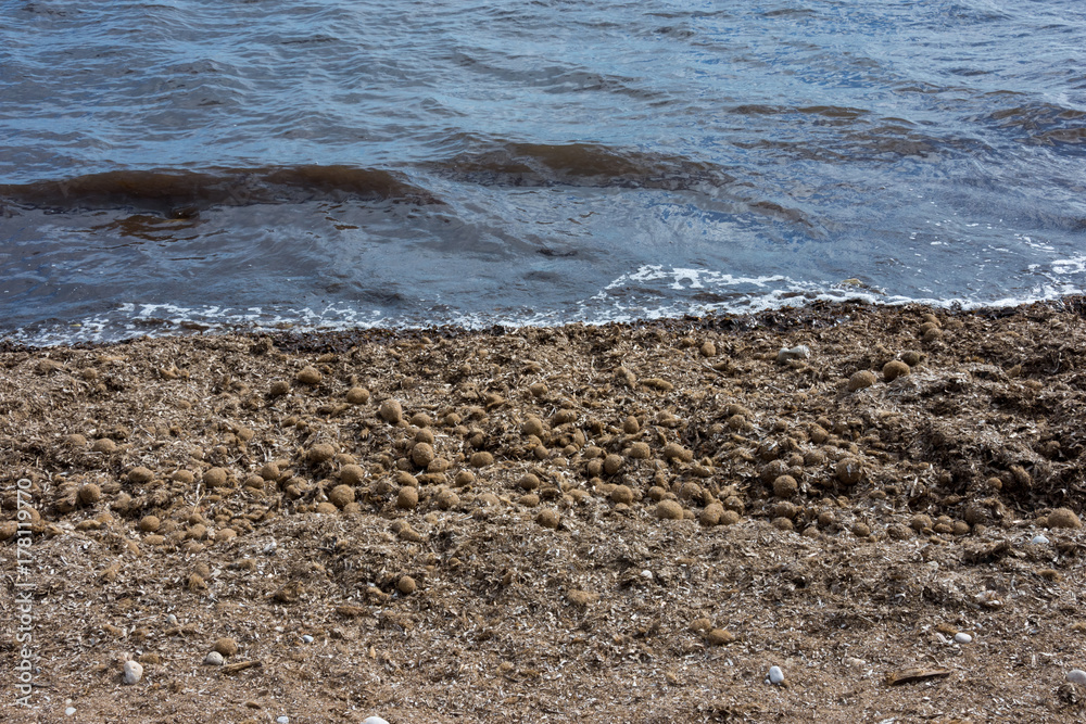 Mallorca, Urlaub, Balearen, Spanien, Sonne, Meer, Mittelmeer, Strand, Erholung Mallorca, Urlaub, Balearen, Spanien, Sonne, Meer, Mittelmeer, Strand, Erholung