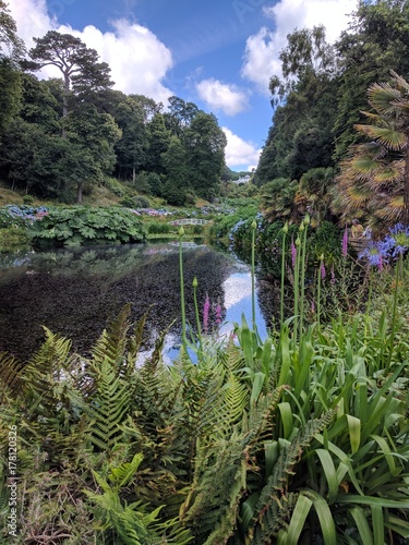 English country garden