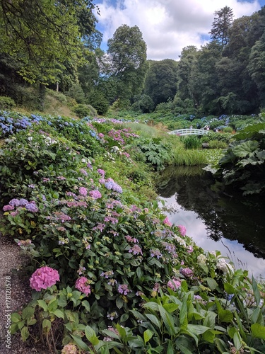 White bridge, pond and hydrangea