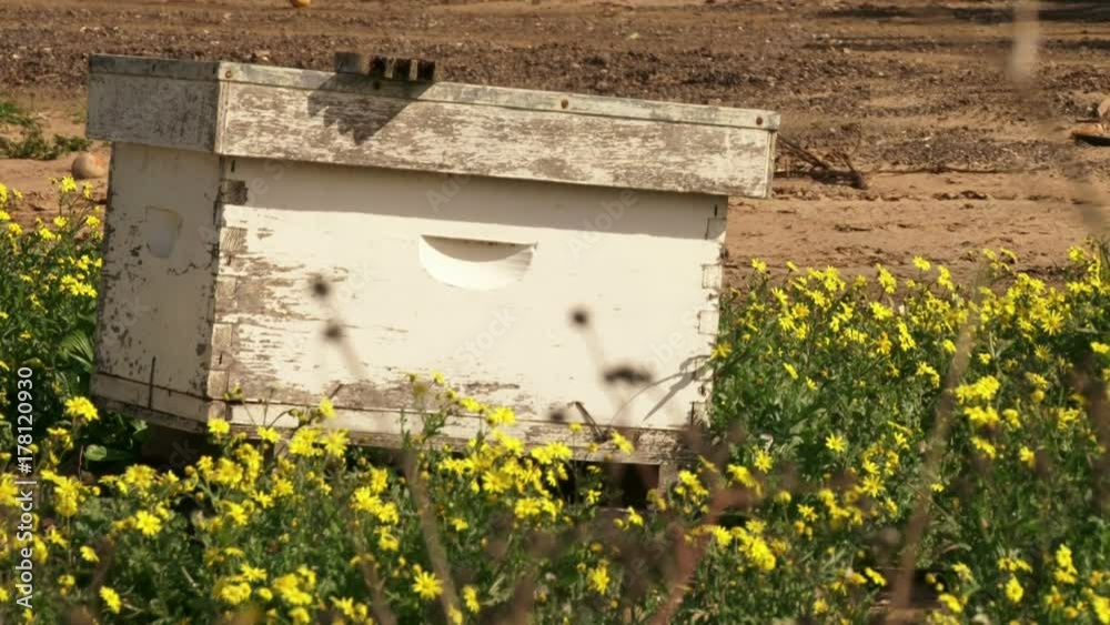 Beehive Flowers and Honey Beehive Flowers and Honey