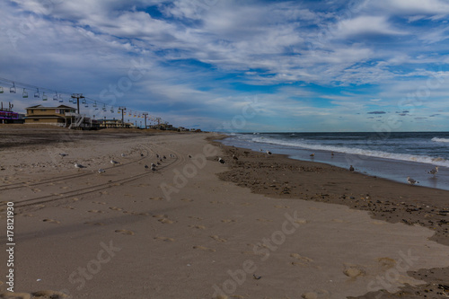 Beach and Seabirds