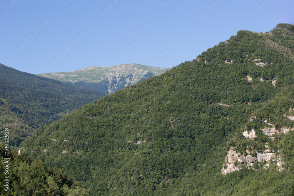 Sentiero, valle della Volpara, estate 