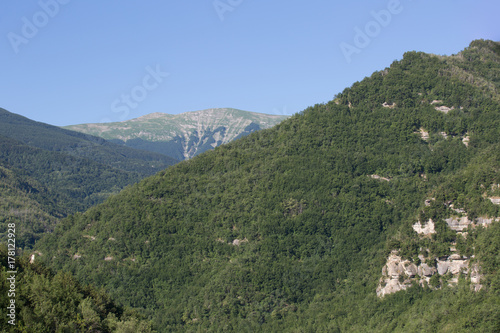 Sentiero  valle della Volpara  estate 
