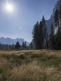 Cook's Meadow in Yosemite