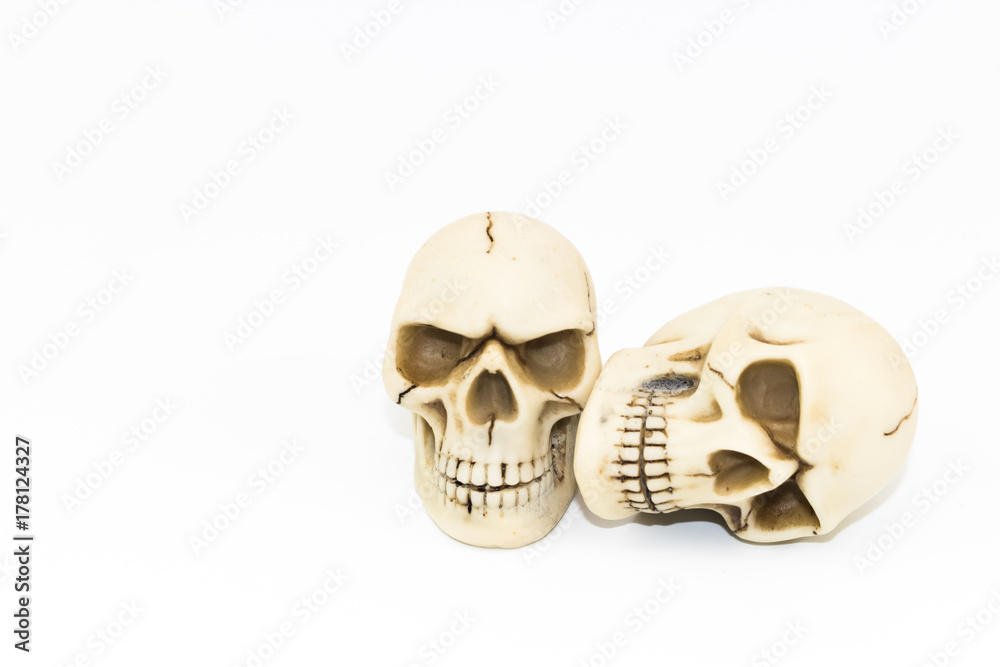 The broken skulls on white backdrop. The broken skulls on white backdrop.