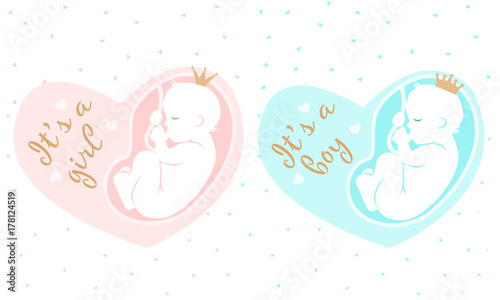 Maternity vector illustration. It is a girl. It is a boy. Fetus inside mom's belly. Pregnancy icon. Prince and princess. 