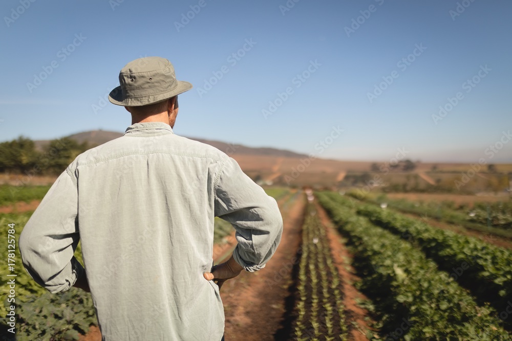 Thoughtful farmer standing in field Thoughtful farmer standing in field