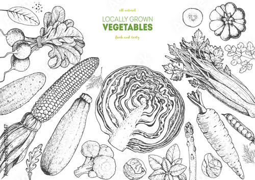 Vegetables top view frame. Farmers market menu design template. Organic vegetables food poster. Vintage hand drawn sketch vector illustration. Line art graphic. Engraved style.