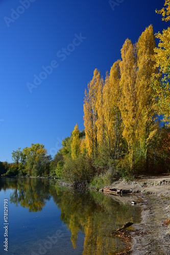 Gelbes Herbstlaub photo