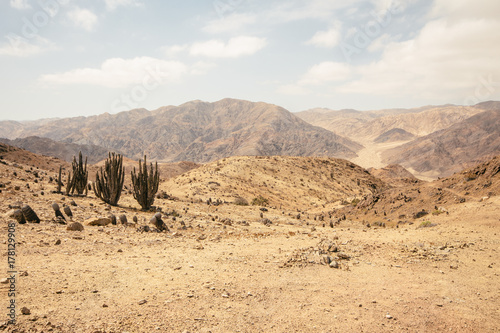 Atacama desert with cactus and mountains in Pan de Azucar nation