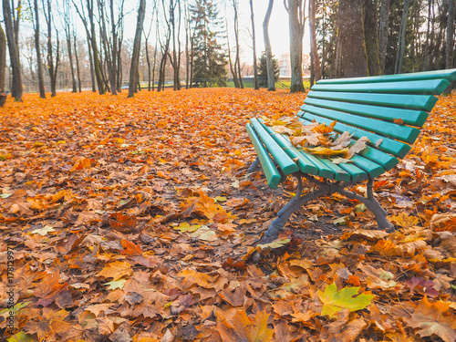 Bench with autumn leaves.  