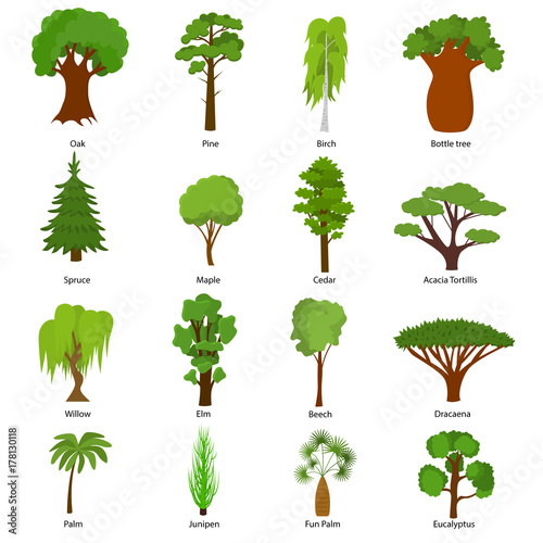Different Green Tree Types Icons Set. Vector
