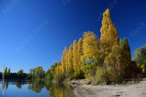 Herbstliche Bäume am See