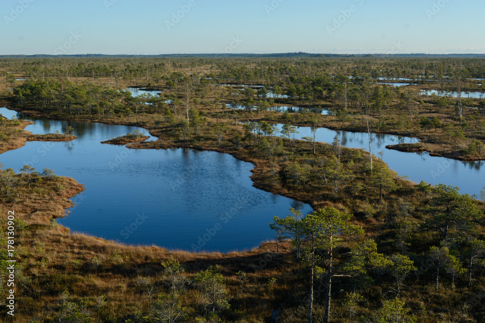 Swamps wetland landscape in Kemeri national park. View from tower.