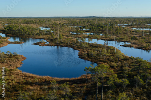 Swamps wetland landscape in Kemeri national park. View from tower.