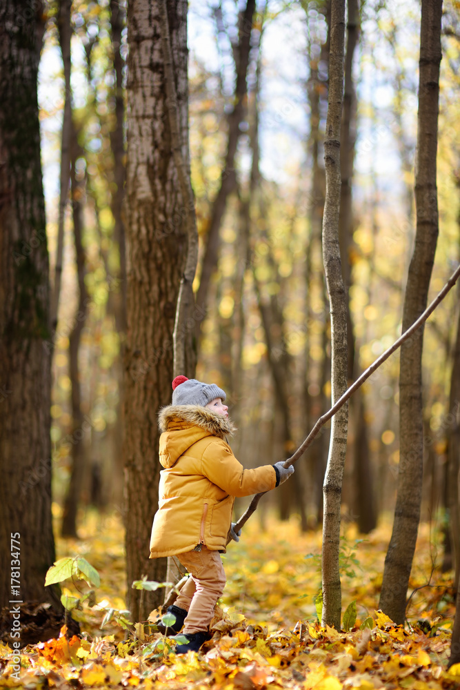 Little child walking in the forest at autumn day