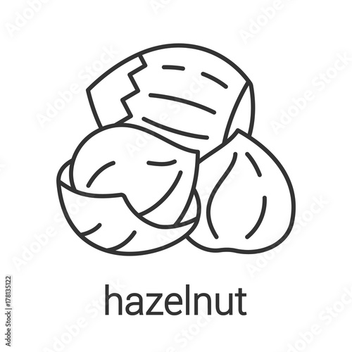 Hazelnut linear icon