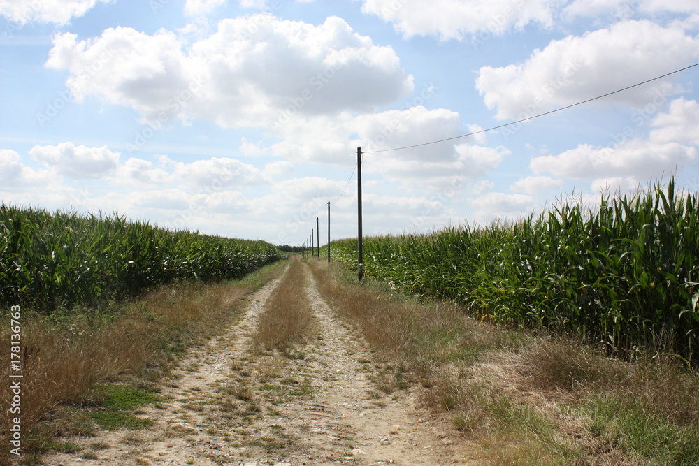 Feldweg