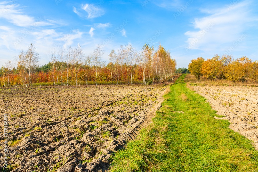Rural road along plowed fields in autumn season, Poland