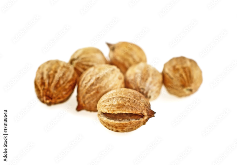 Coriander seeds isolated on white background, macro image, selective focus. Coriander seeds isolated on white background, macro image, selective focus.