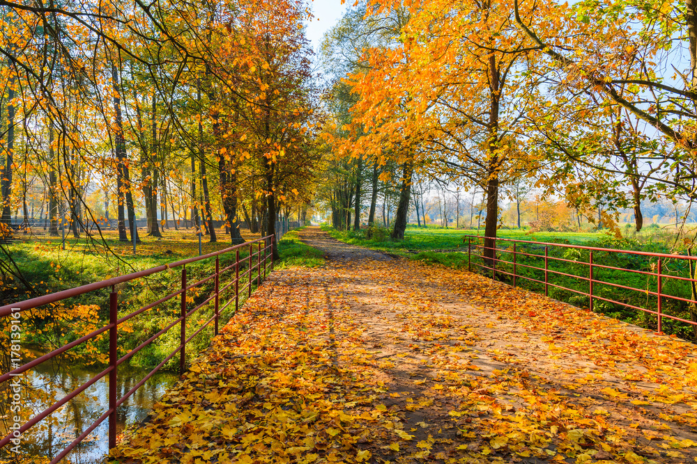 Bridge over small river in park with colorful trees in autumn season, Poland Bridge over small river in park with colorful trees in autumn season, Poland