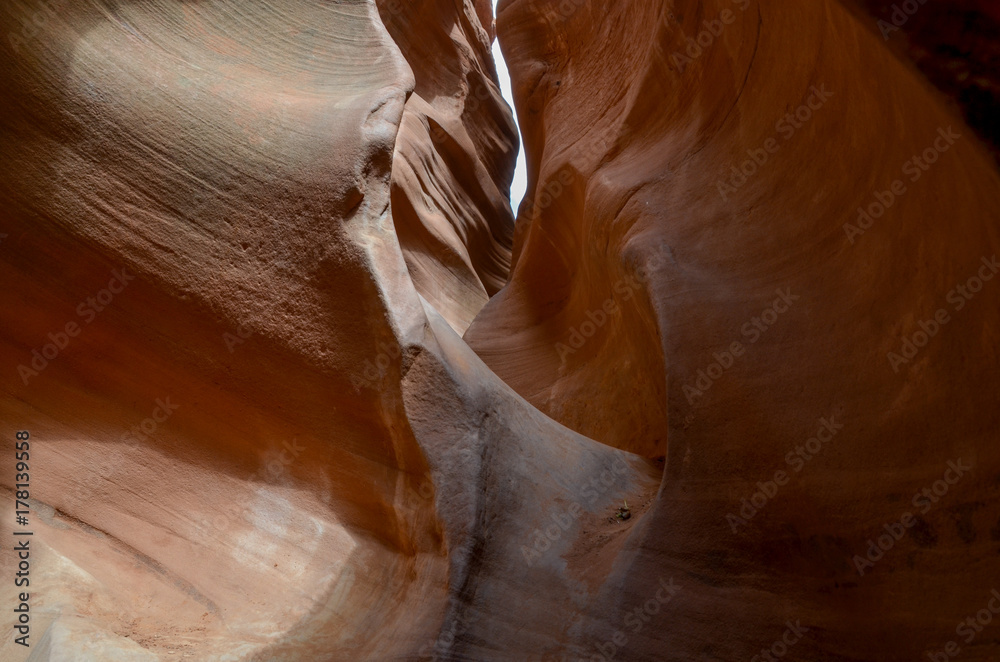 Obraz premium carved narrow walls in Spooky Slot Canyon Hole in the Rock Road, Grand Staircase Escalante National Monument, Garfield County, Utah, USA