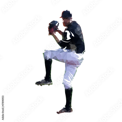 Baseball player, pitched. Abstract geometric vector illustration
