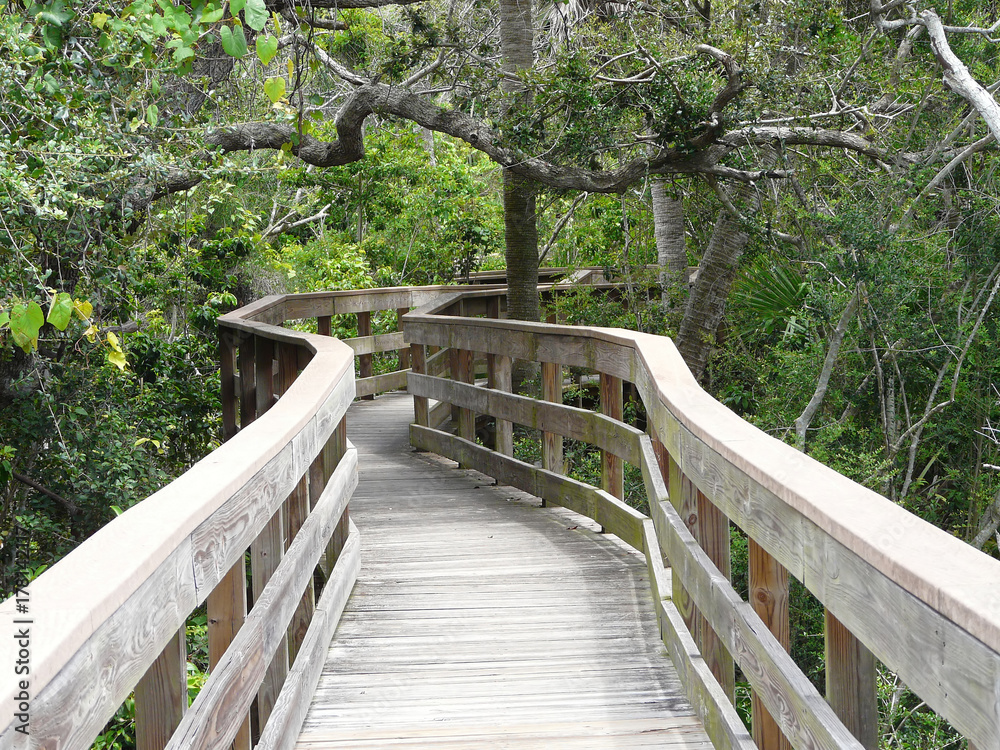 Obraz premium Boardwalk Trail in Florida Maritime Woods. Trail on Florida's Canaveral National Seashore leads to Turtle Mound, a large Native American Indian shell midden named for its similarity to a turtle.