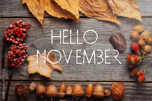 Hello november. frame of autumn decor Poster card with sunlight filter and toned grunge image  photo