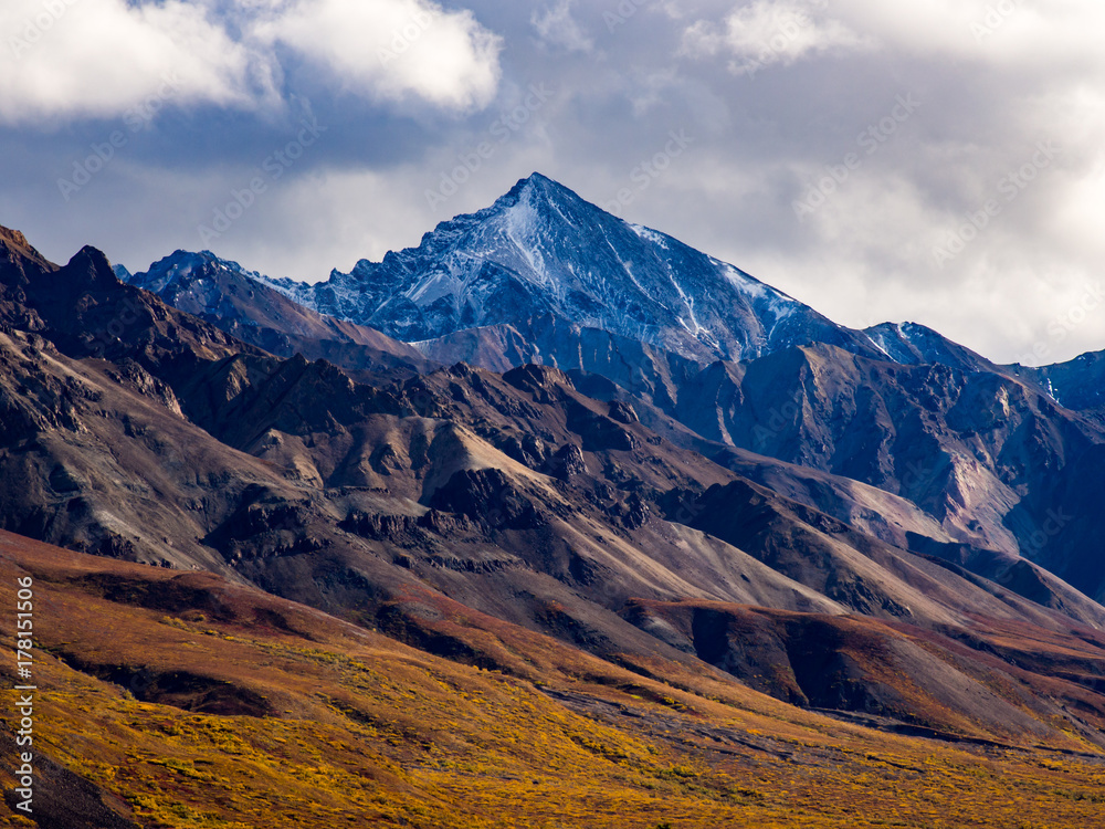 Mountain Range in Denali