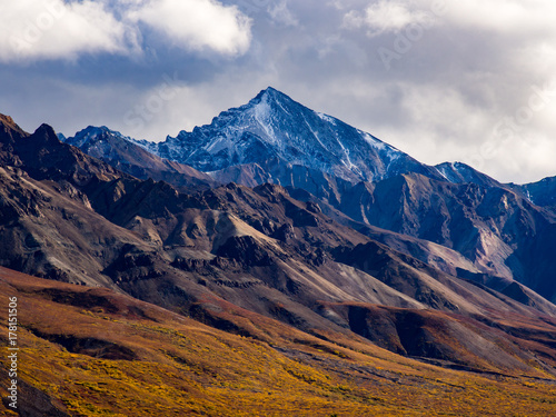 Mountain Range in Denali