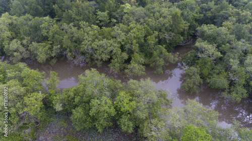 Aerial mangrove forest and canal