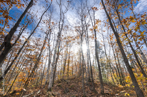 Bon Echo Ontario Landscape Fall Autumn Background Hiking