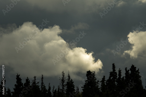 Dark stormy sky with white clouds highlighted by sun, above a silhouetted tree line 