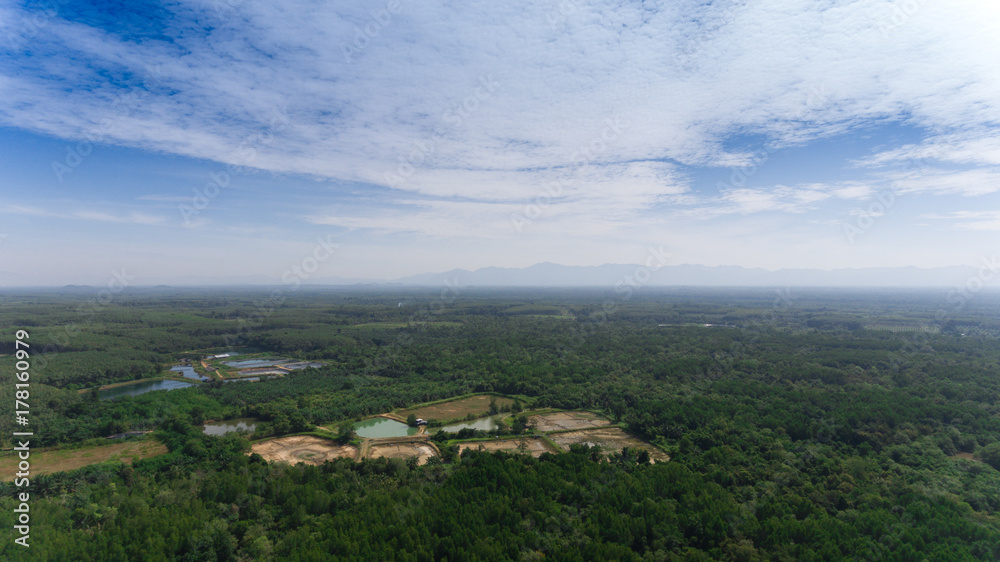 Aerial mangrove forest and Shrimp Farm in Thailand