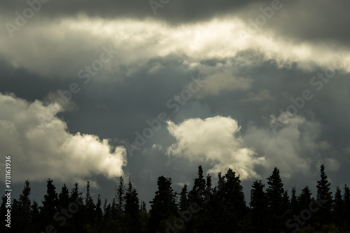 Dark stormy sky with white clouds highlighted by sun, above a silhouetted tree line 