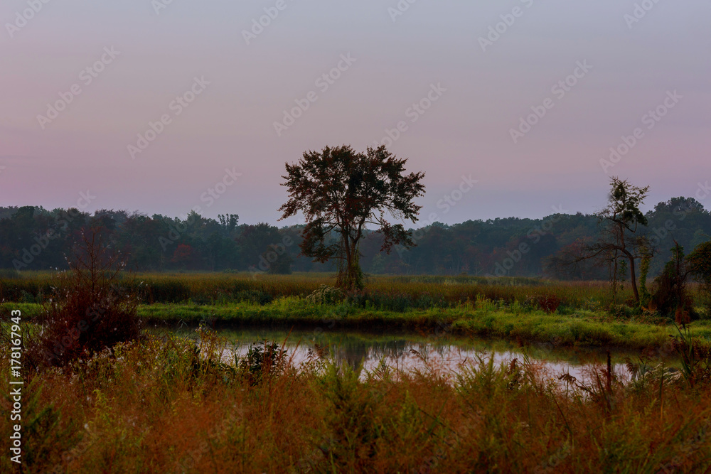 Misty dawn at the lake